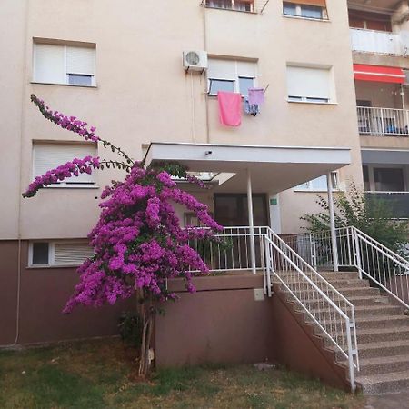Appartement Popovic à Pula Extérieur photo