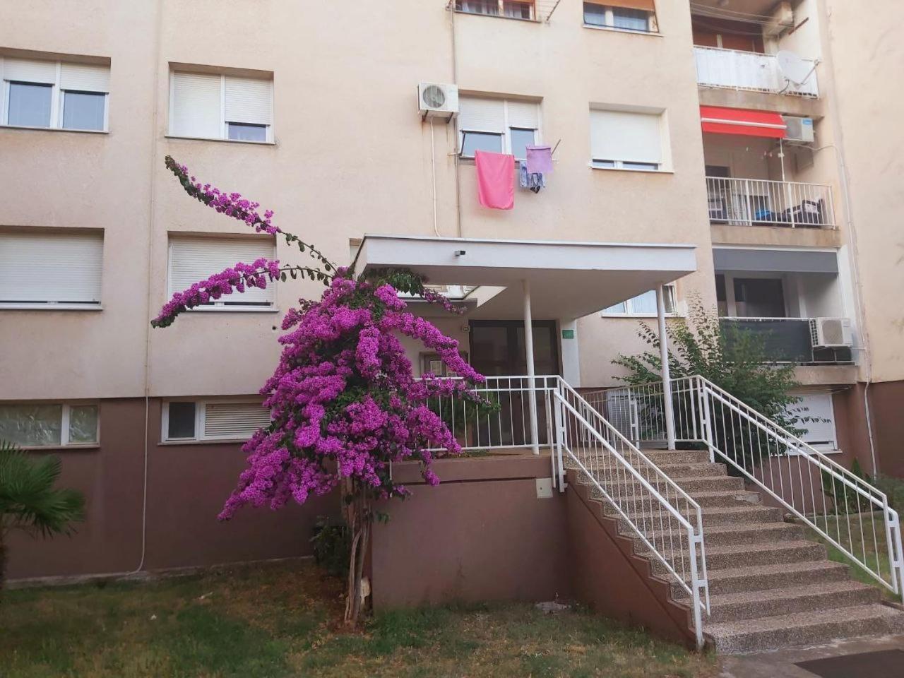 Appartement Popovic à Pula Extérieur photo